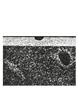 Page: - 156 | Aperture