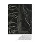 Page: - 176 | Aperture