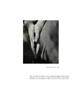 Page: - 39 | Aperture