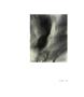 Page: - 41 | Aperture