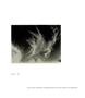Page: - 42 | Aperture