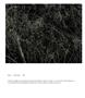 Page: - 45 | Aperture