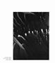 Page: - 105 | Aperture