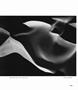 Page: - 110 | Aperture