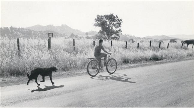 Death Of A Valley, Page:  - Fall 1960 | Aperture