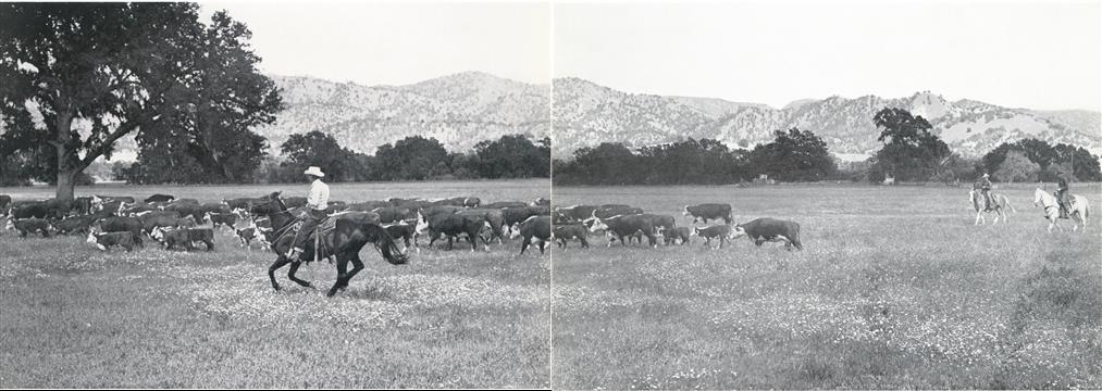 Death Of A Valley, Page:  - Fall 1960 | Aperture