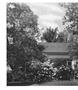Page: - 132 | Aperture