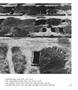 Page: - 148 | Aperture