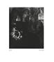 Page: - 204 | Aperture