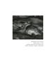 Page: - 212 | Aperture