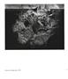 Page: - 100 | Aperture