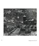 Page: - 101 | Aperture