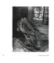 Page: - 105 | Aperture