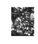 Page: - 129 | Aperture