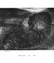 Page: - 93 | Aperture