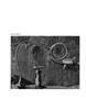 Page: - 142 | Aperture