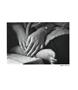 Page: - 153 | Aperture