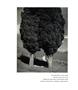 Page: - 180 | Aperture