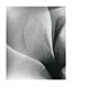 Page: - 6 | Aperture
