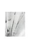 Page: - 8 | Aperture