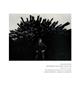 Page: - 176 | Aperture