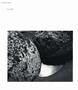 Page: - 101 | Aperture