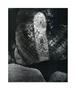 Page: - 123 | Aperture