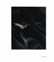 Page: - 96 | Aperture
