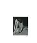 Page: - 61 | Aperture