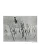 Page: - 62 | Aperture