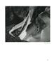 Page: - 71 | Aperture
