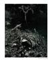 Page: - 82 | Aperture