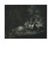 Page: - 103 | Aperture