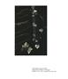Page: - 133 | Aperture