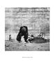 Page: - 48 | Aperture