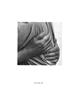 Page: - 55 | Aperture