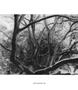 Page: - 57 | Aperture