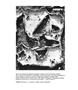 Page: - 60 | Aperture