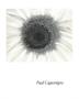 Page: - 0_1 | Aperture