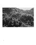 Page: - 11 | Aperture