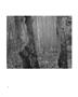 Page: - 13 | Aperture
