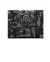 Page: - 14 | Aperture