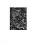 Page: - 15 | Aperture