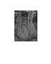 Page: - 16 | Aperture