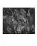 Page: - 21 | Aperture