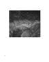 Page: - 33 | Aperture