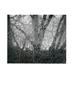 Page: - 4 | Aperture