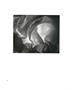 Page: - 47 | Aperture