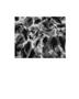 Page: - 48 | Aperture