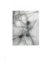 Page: - 5 | Aperture